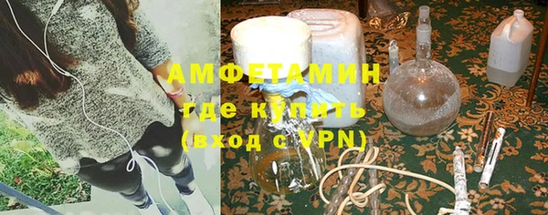прущие грибы Балабаново