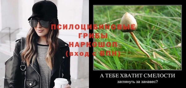 прущие грибы Балабаново