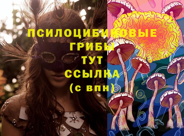 прущие грибы Балабаново